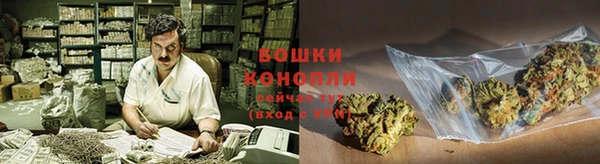 ECSTASY Богородицк